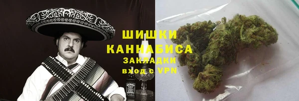 твердый Алексин