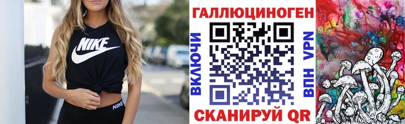 Купить закладки  Тайшет  Псилоцибиновые грибы MAGIC MUSHROOMS 